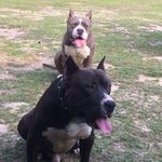 Rene Buenrostro - @rene.buenrostro.12 - Instagram