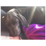 Rene Callahan - @rene_callahan.768 - Instagram