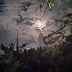 Rene Cerda - Facebook