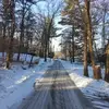Renee Charest - @renee.charest - TikTok