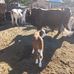 Rene Clark - Facebook