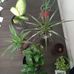 Rene Clark - Facebook