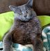 Rene Cochran - Facebook