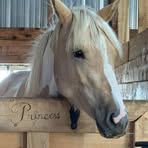 Renee Cochran - Facebook