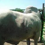 Rene Cuellar - @rene.cuellar.9022 - Instagram