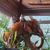 sinksing - @reneedecker745 - TikTok