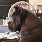 Rene DeLuna - @txheatcorso - Instagram
