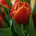 Rene Dempsey - Facebook
