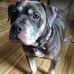 Renee Dempsey - Facebook