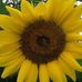 Rene Moore Denny - Facebook