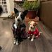 Renee Dickson - Facebook