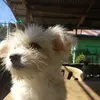 Rene Dorado - @renedorado - TikTok
