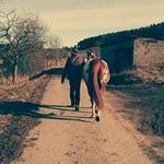Rene Dörner - @rene.dorner - Instagram