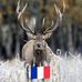 Rene Dufour - Facebook