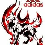 Oscar Rene Dzul Chan - @oscarrenedzulchan - Instagram