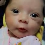 René Dzul - @renedzulpat - Instagram