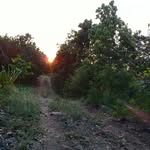 Rene Rolando Caamal Dzul - @rene.cadzul - Instagram