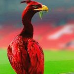Rene Eckert - @ecki1892 - Instagram