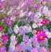 Rene Ellis - Facebook