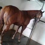 Rene Escobedo - @rene.escobedo.5661 - Instagram