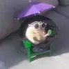 Rene Espinal - @reez124k - TikTok