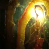 Jaime rene Esqueda vega - @jaime.rene.esqued4 - TikTok