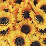 Morgan Rene Floyd - @farmgirl2023_bckup - Instagram