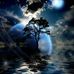 Rene Floyd - Facebook