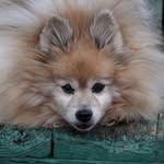 Renee Frederick Carman - @renee.carman.10 - Instagram