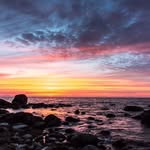 Rene Freese - @renefreese - Instagram