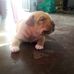 Rene Gamez - Facebook