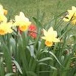 Rene Garrison - @rene_garrison - Instagram