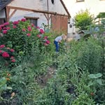 Rene Gilbert - @rene.gilbert.78 - Instagram
