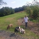 René Graf - @graf5773 - Instagram