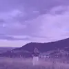 Renee Graham - @renee.graham83 - TikTok