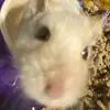 itzdujkk3g6 - @renee.granger1 - TikTok