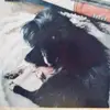 renegranger702 - @renegranger702 - TikTok