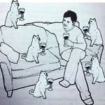 Rene Grimm - @katzenenthusiast - Instagram