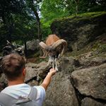 Rene - @rene.hall.o02 - Instagram