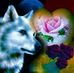 Rene Hammer - Facebook
