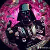 rené Harding - @reneharding5 - TikTok