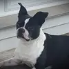 BonafideSag - @reneeharrington2 - TikTok