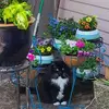 Renee Harrington - @renee.harrington4 - TikTok