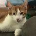 Renee Harrington - Facebook