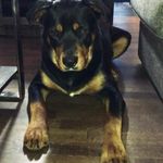 René Hebert - @hebert_rene - Instagram
