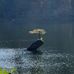 Rene Hebert - Facebook
