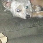 Allie renee helms - @alliereneehelms0631 - Instagram