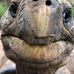 Rene Henning - Facebook
