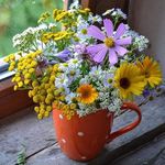 Rene Henning - @reneh_lovinglife - Instagram