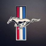 Rene Hermann - @hermannrene6 - Instagram